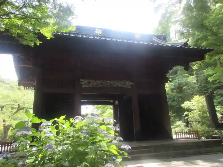 妙本寺の山門・神門