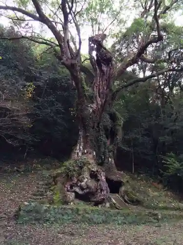 武雄神社(佐賀県)