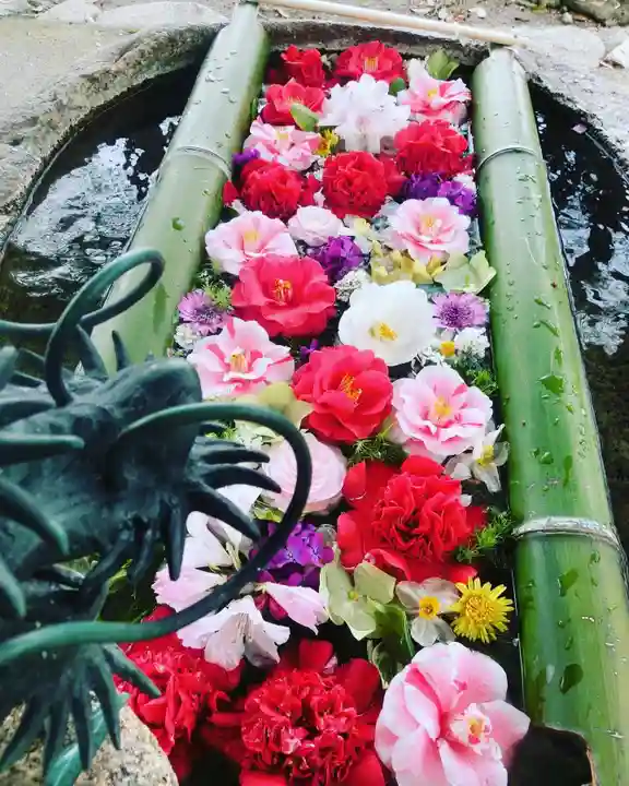 立志神社(滋賀県)