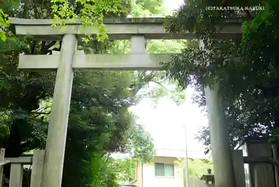 渋谷氷川神社の鳥居