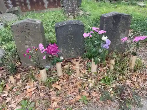 沼影観音堂（廣田寺）の{uncategorized: "未分類", other: "その他", undefined: "問題あり", building: "その他建物", grave: "お墓", sacred_gate: "鳥居", guardian: "狛犬", statue: "像", buddha: "仏像", history: "歴史", nature: "自然", garden: "庭園", animal: "動物", pagoda: "塔", temizu: "手水舎", mountain_gate: "山門・神門", sanctuary: "本殿・本堂", subordinate: "末社・摂社", art: "芸術", scenery: "景色", jizo: "地蔵", ema: "絵馬", goshuin: "御朱印", omikuji: "おみくじ", items: "授与品その他", amulet: "お守り", goshuincho: "御朱印帳", eats: "食事", festival: "お祭り", votive_dance: "神楽", shichigosan: "七五三参", wedding: "結婚式", experience: "体験その他", initially: "初詣", around: "周辺", anti_infection: "感染症対策"}