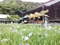 宮地嶽神社の末社・摂社