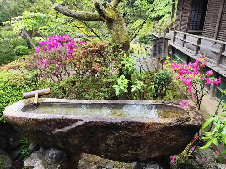 青蓮院門跡(京都府)
