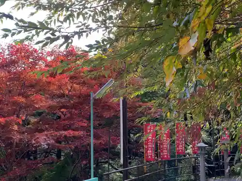 大山寺(神奈川県)