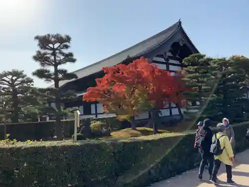 東福禅寺（東福寺）の本殿・本堂