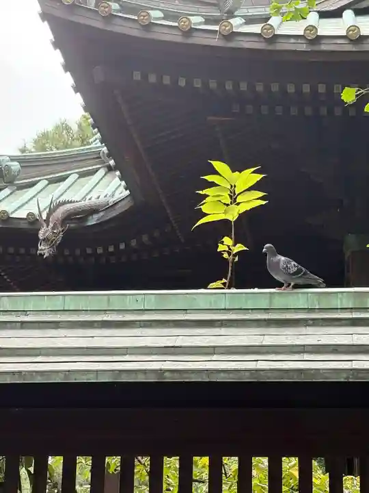 荏原神社(東京都)