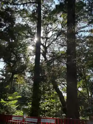 麻賀多神社の{uncategorized: "未分類", other: "その他", undefined: "問題あり", building: "その他建物", grave: "お墓", sacred_gate: "鳥居", guardian: "狛犬", statue: "像", buddha: "仏像", history: "歴史", nature: "自然", garden: "庭園", animal: "動物", pagoda: "塔", temizu: "手水舎", mountain_gate: "山門・神門", sanctuary: "本殿・本堂", subordinate: "末社・摂社", art: "芸術", scenery: "景色", jizo: "地蔵", ema: "絵馬", goshuin: "御朱印", omikuji: "おみくじ", items: "授与品その他", amulet: "お守り", goshuincho: "御朱印帳", eats: "食事", festival: "お祭り", votive_dance: "神楽", shichigosan: "七五三参", wedding: "結婚式", experience: "体験その他", initially: "初詣", around: "周辺", anti_infection: "感染症対策"}