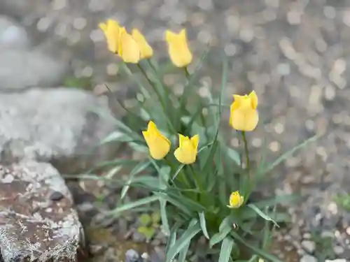 西方山極楽寺(岐阜県)