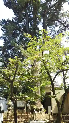 宗像神社のその他建物