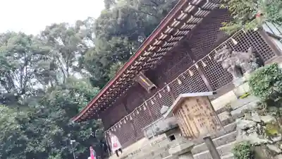 宇治上神社の本殿・本堂