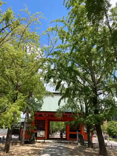 葛飾八幡宮の山門