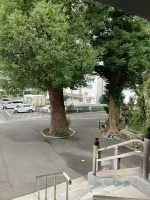 常眞寺(神奈川県)