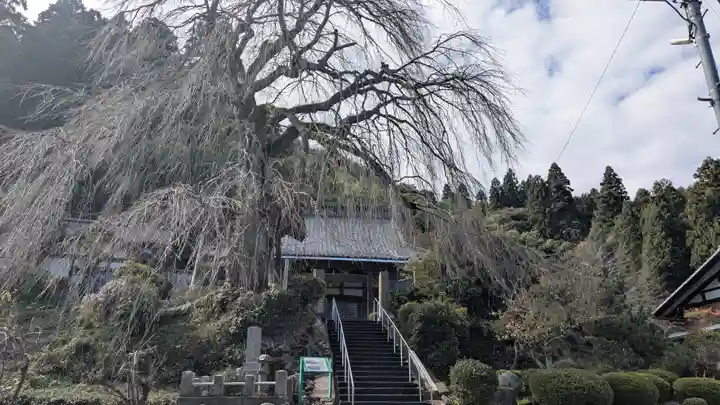 法華寺(福井県)