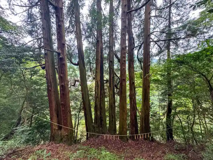 天岩戸神社(宮崎県)