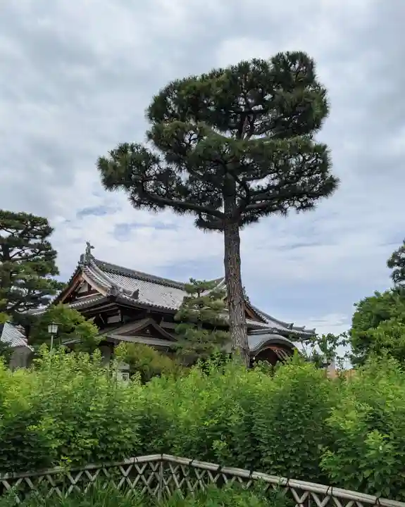 東光院(大阪府)