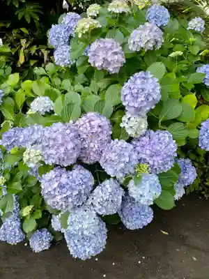教恩寺(神奈川県)