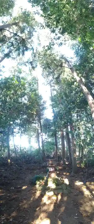 祠(名称不明)の本殿・本堂