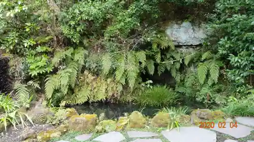 杉本寺の庭園