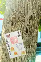 七百餘所神社 の御朱印