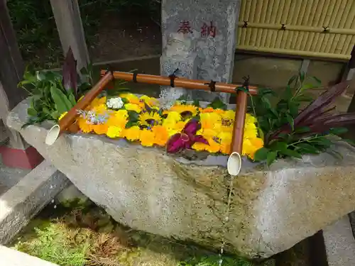 田間神社の手水舎