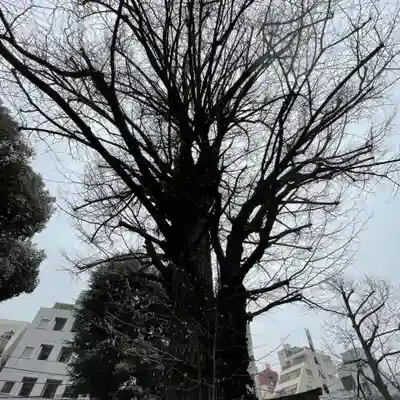 鳩森八幡神社(東京都)