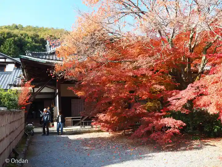 実相院門跡(京都府)