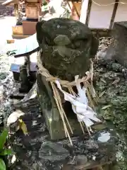 坂本八幡神社の狛犬