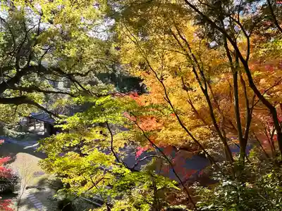 弘川寺(大阪府)