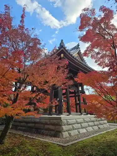  智積院(京都府)