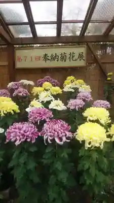 大神神社(奈良県)