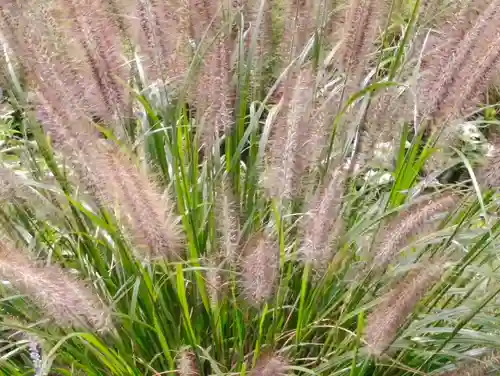 阿邪訶根神社(福島県)