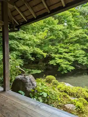 蓮華寺（洛北蓮華寺）(京都府)