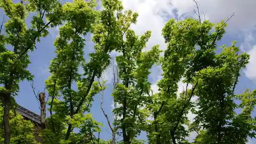 寿量山　速成寺の自然