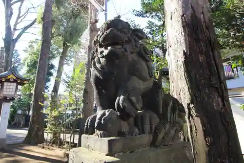 荻窪八幡神社の狛犬