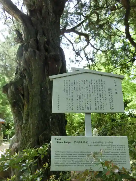 浄瑠璃寺の自然