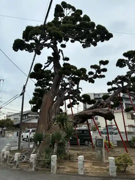 妙法寺の{uncategorized: "未分類", other: "その他", undefined: "問題あり", building: "その他建物", grave: "お墓", sacred_gate: "鳥居", guardian: "狛犬", statue: "像", buddha: "仏像", history: "歴史", nature: "自然", garden: "庭園", animal: "動物", pagoda: "塔", temizu: "手水舎", mountain_gate: "山門・神門", sanctuary: "本殿・本堂", subordinate: "末社・摂社", art: "芸術", scenery: "景色", jizo: "地蔵", ema: "絵馬", goshuin: "御朱印", omikuji: "おみくじ", items: "授与品その他", amulet: "お守り", goshuincho: "御朱印帳", eats: "食事", festival: "お祭り", votive_dance: "神楽", shichigosan: "七五三参", wedding: "結婚式", experience: "体験その他", initially: "初詣", around: "周辺", anti_infection: "感染症対策"}