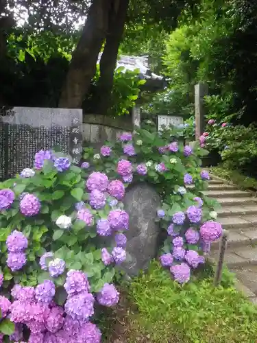 岩殿寺の庭園