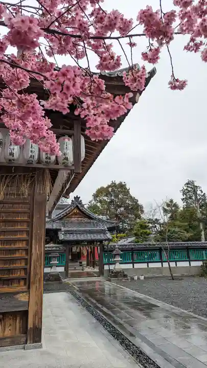 大歳神社(京都府)