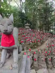 豊川閣　妙厳寺の狛犬