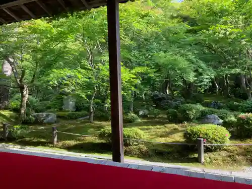 圓光寺(京都府)