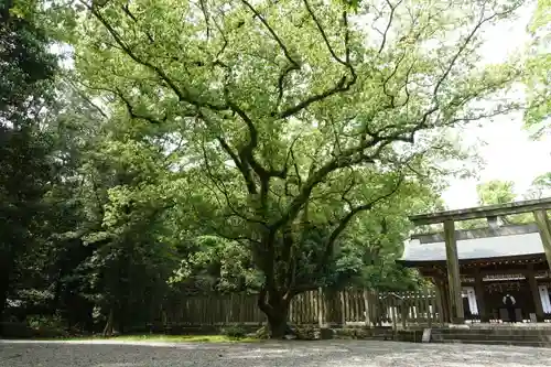 日前神宮・國懸神宮の景色