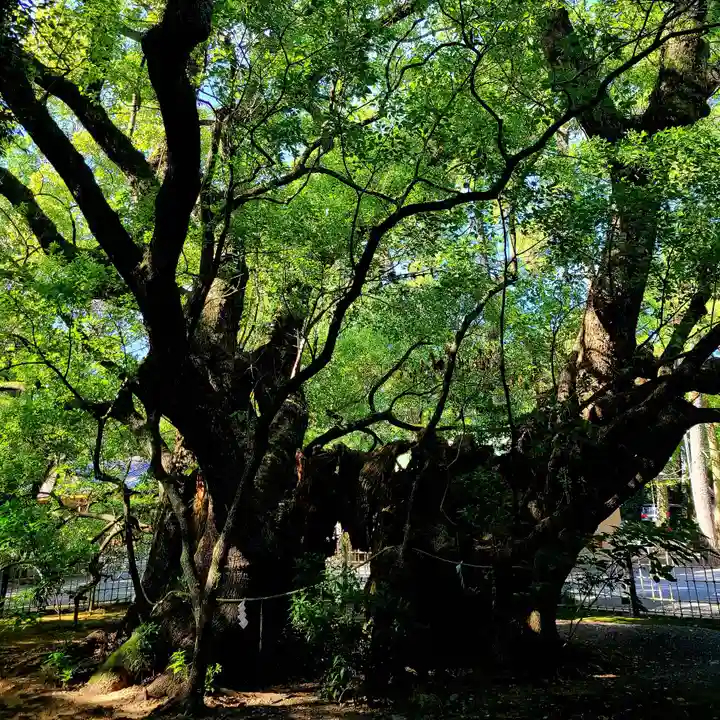 浜松八幡宮(静岡県)
