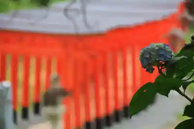 高屋敷稲荷神社の景色