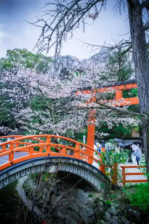 賀茂御祖神社(下鴨神社)(京都府)