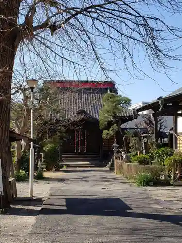 善照寺の本殿・本堂