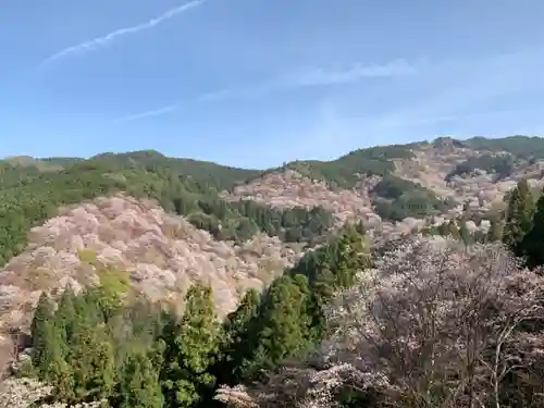 吉水神社の景色