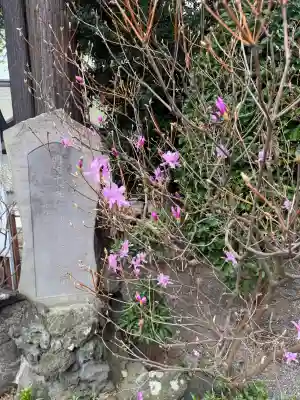 大國魂神社(東京都)