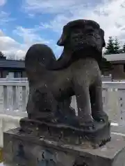 美瑛神社の狛犬