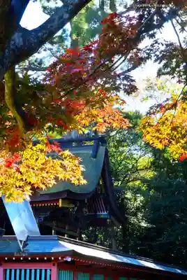 鹿島神宮(茨城県)