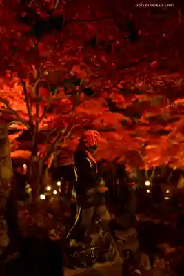 大山寺(神奈川県)